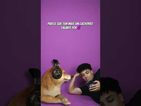 Mais um cachorro falante encontrado 😳