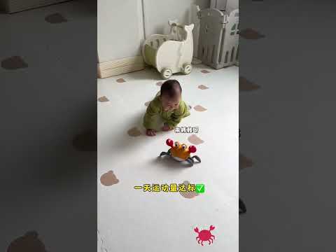 奶奶买的电动螃蟹，宝宝追着抓了一上午😆，太有意思了。既学会了爬行又提高了运动量！哄娃神器 自己玩的不亦乐乎宝宝玩具 儿童玩具学爬行的小宝宝