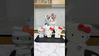 Hello Kitty and friends! #thatlittlepuff #hellokitty