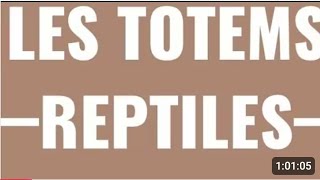 LES TOTEMS REPTILES 