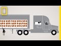 Strawberry Transportation and Logistics