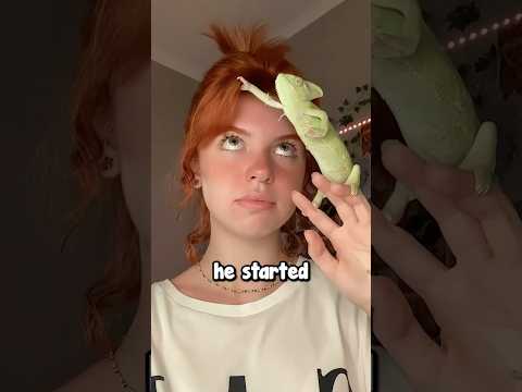 Girl Becomes Friends With a Chameleon 🥹❤️ (@pixyvava)