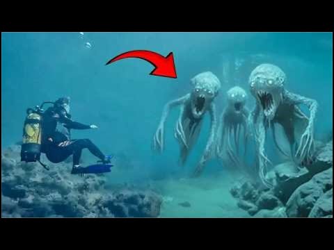 15 Criaturas Más Inquietantes Encontradas Bajo El Agua