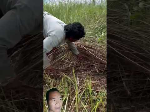 เขากำลังทำอะไร?