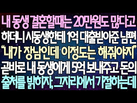 (반전 사연) 내 동생 결혼할때는 20만원도 많다고 하더니 시동생한테 1억 대출받아준 남편 곧바로 내 동생에게 5억 보내주고 돈의 출처를 밝히자, 그자리에서 기절하는데 /사이다사연