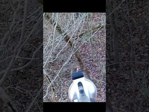 Missed two deer shots #hunting #deer#moose#chasse