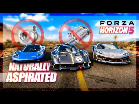 Forza Horizon 5 - Best Naturally Aspirated Car! Ft. Nitret