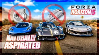 Forza Horizon 5 - Best Naturally Aspirated Car! Ft. Nitret