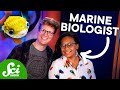 Understanding Fish and Marine Life