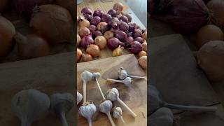 Goggles at the ready! Will be prepping my onions to store in the freezer. #onion #foodstorage #grow