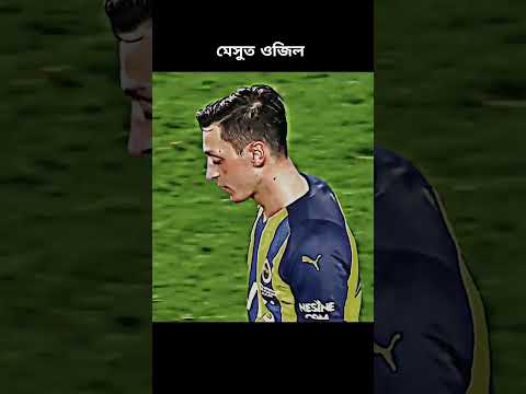 Mesut Ozil fanerbace
