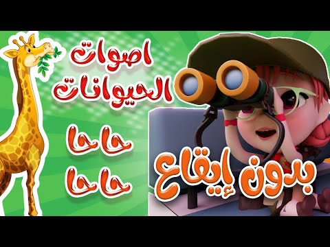 اصوات الحيوانات حا حا  - بدون ايقاع | كيوي تي في Kiwi Tv