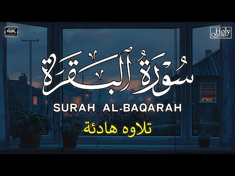 سورة البقرة لحفظ وتحصين المنزل بصوت هادئ للقارئ محمد هشام surah Al Baqra