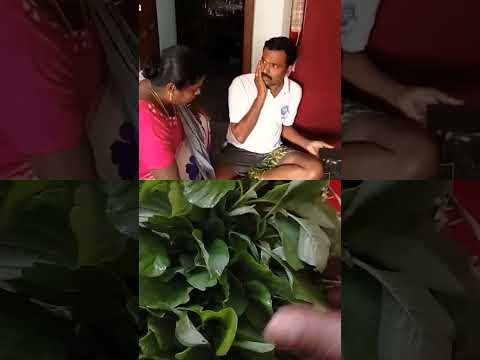 # ஒரு சட்டிக் கீரையும் காணோமே# 😭😭😭🤣🤣🤣🤣