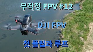 무작정 FPV #12 DJI FPV 첫 플립과 루프