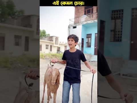 গরিব ছেলের কুরবানীর টাকা চুরি। #emtionalstory #emotional #trending #shortsfeed #bakraeid #eid