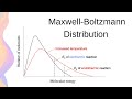Temperature Effects on Chemical Reactions