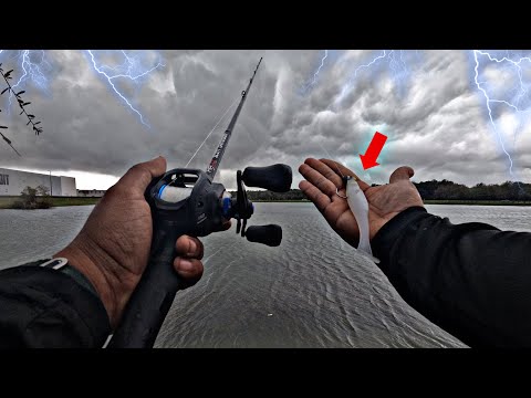 Fishing BIG Swimbaits for Chunky Winter Bass! (Thunderstorm)