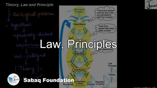Theory, Law and Principle