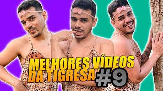 Melhores vídeos Da tigresa | Compilado De Shorts #9