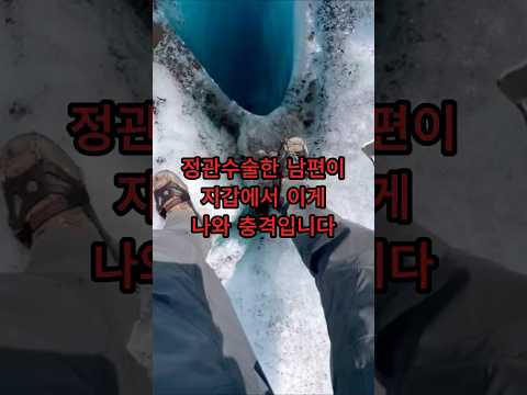 남편의 지갑에서 발견한 충격적인것 #shorts #부부