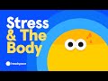 Stress Response and Management Concepts