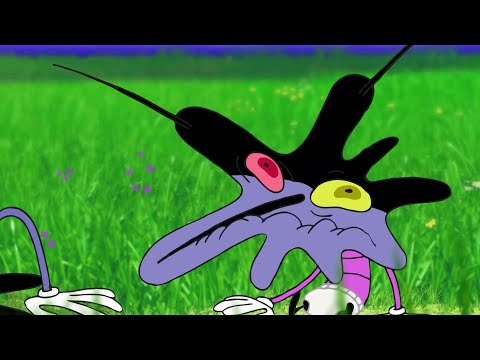 Oggy and the Cockroaches - Joey's jealous (SEASON 4) BEST CARTOON COLLECTION | New Episodes in HD