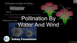 Pollination By Water And Wind