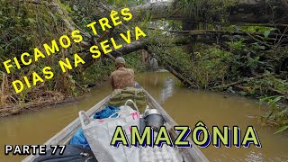 TRÊS DIAS NA FLORESTA AMAZÔNICA - ACAMPAMOS NA SELVA - VÍDEO  77