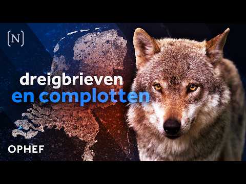 Met de dood bedreigd om de wolf