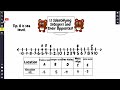 Understanding Elevation and Number Lines