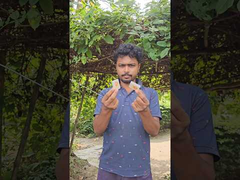 দীপাবলি উপলক্ষে 5 টাকায় বাজি বানালাম..#bengalishortsvlog #bengaliminivlog #diwali #বাজি
