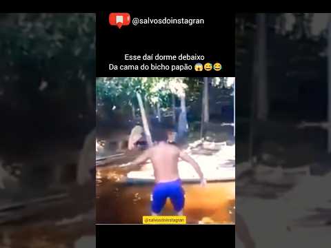 O véi doido que pega jacaré kkkk #memes #memesbrasil #humor #funny