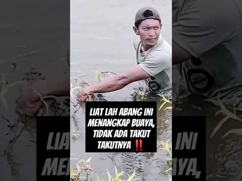 Lihat lah pria ini menangkap buaya tidak ada takut-takut nya