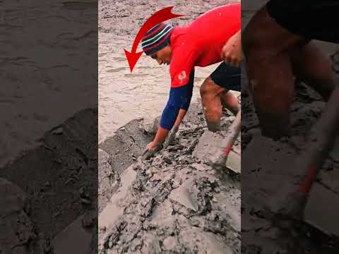 দেখুন কিভাবে মাছ ধরে #shorts #viralshorts #subscribe