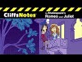 Fate and Choices in Romeo and Juliet