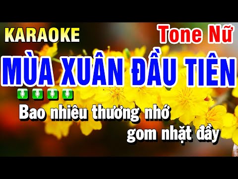 Karaoke Mùa Xuân Đầu Tiên Tone Nữ ( Nhạc Xuân 2025 ) Huỳnh Anh