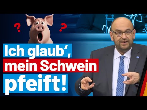 Absurdes Tierhaltungsgesetz empört Stephan Protschka. AfD-Fraktion im Bundestag