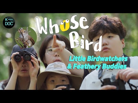 Whose bird?! Meet with little birdwatchers and feathery friends exploring the nature | KBS 20240505