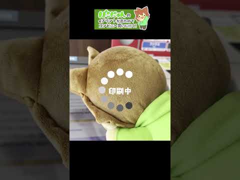 【実写】ぽこにゃんがコンビニに行く！？ #shorts