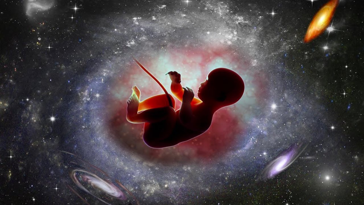 What If You Were Born In Space?