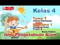 Kuis Alat Musik dan Perambatan Bunyi