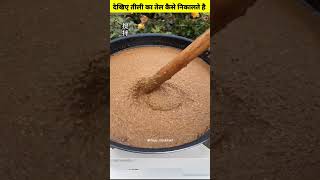 देखिए तीली का तेल कैसे निकालते है!!😱