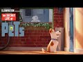 Trailer 8 do filme The Secret Life of Pets