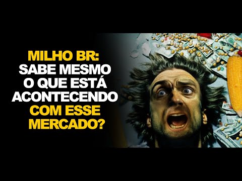 MILHO BR:  SABE MESMO O QUE ESTÁ ACONTECENDO COM ESSE MERCADO?