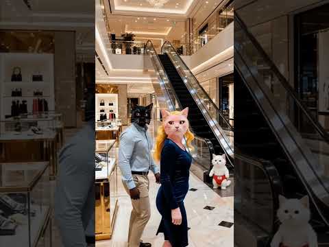 āĻāĻŽāĻŋāϰ āϏ⧠āĻŽāĻž āϤāĻžāĻā§ āĻŦāĻžāĻĄāĻŧāĻŋ āĻĨā§āĻā§ āĻŦā§āϰ āĻāϰ⧠āĻĻāĻŋāϞ⧠#shorts #cat #catshorts