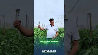 🌱 Tecnología que impulsa tus cultivos