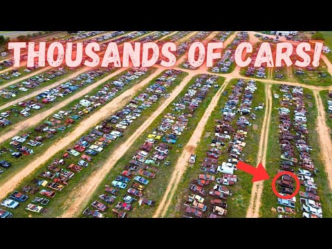 This Guy has THOUSANDS of Cars! What will I Bring Home?