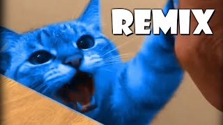 Sonic Green Hill Zone Theme (Cat Meowing Remix)