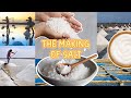 Salt Production Processes and Concepts